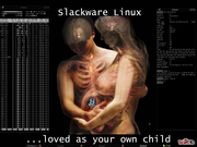 Fluxbox para os papais slackers!